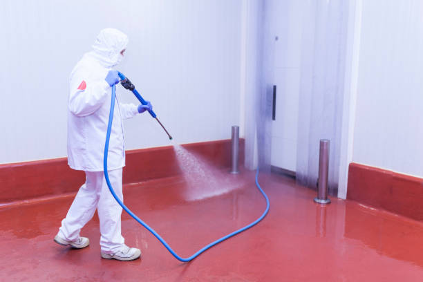 Best Residential Exterior Washing  in Encinal, TX