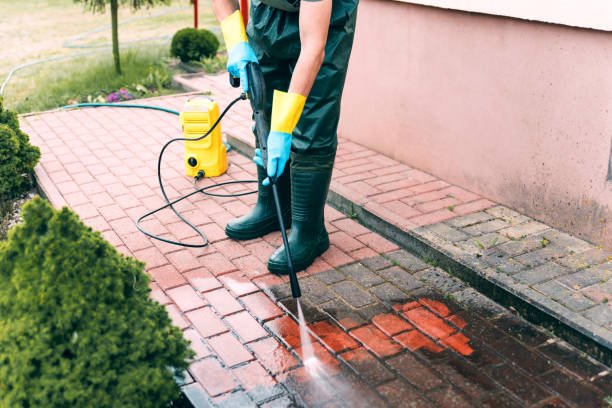 Animal Enclosure Cleaning in Encinal, TX