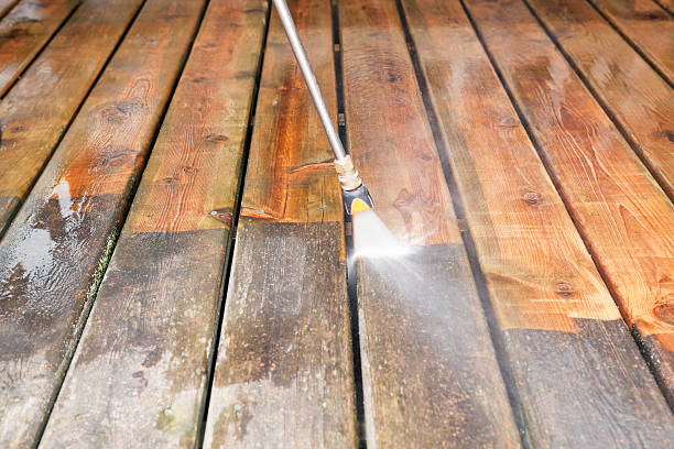Best Driveway Pressure Washing  in Encinal, TX